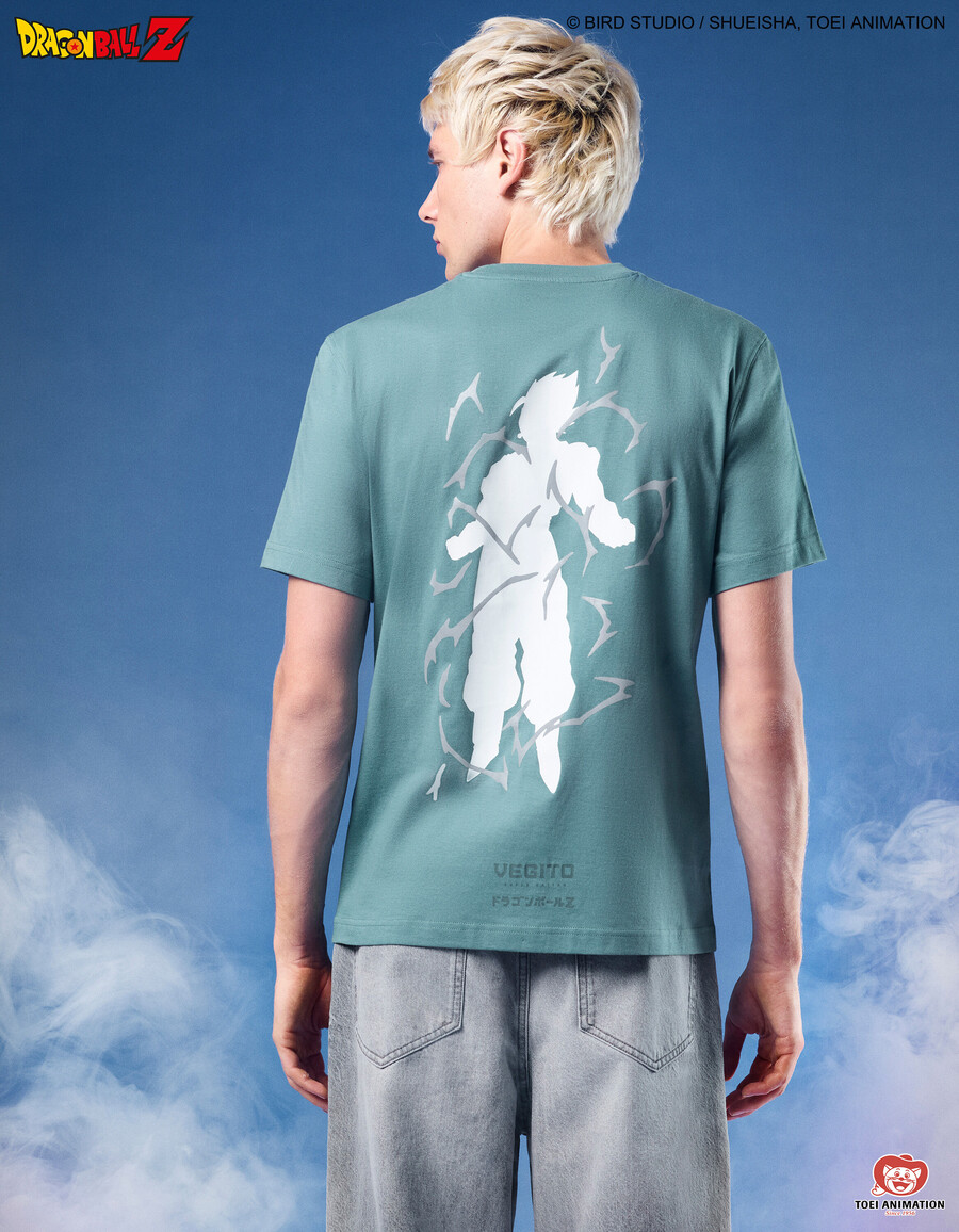 dragon ball z
