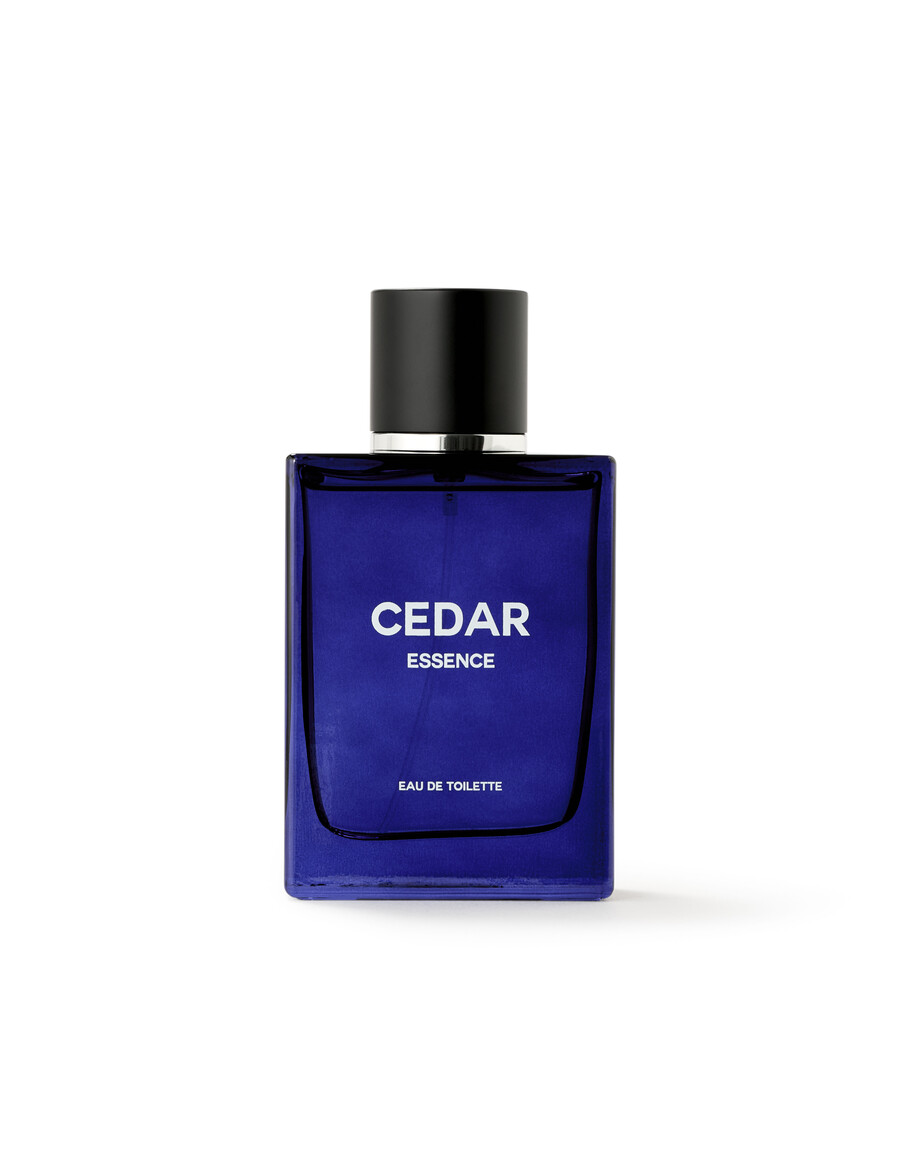 ceder