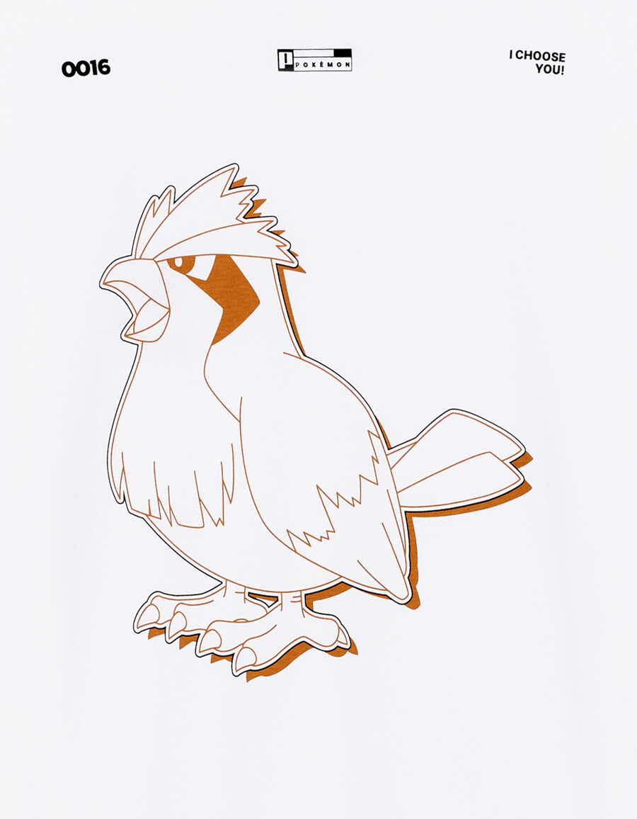pokémonmon