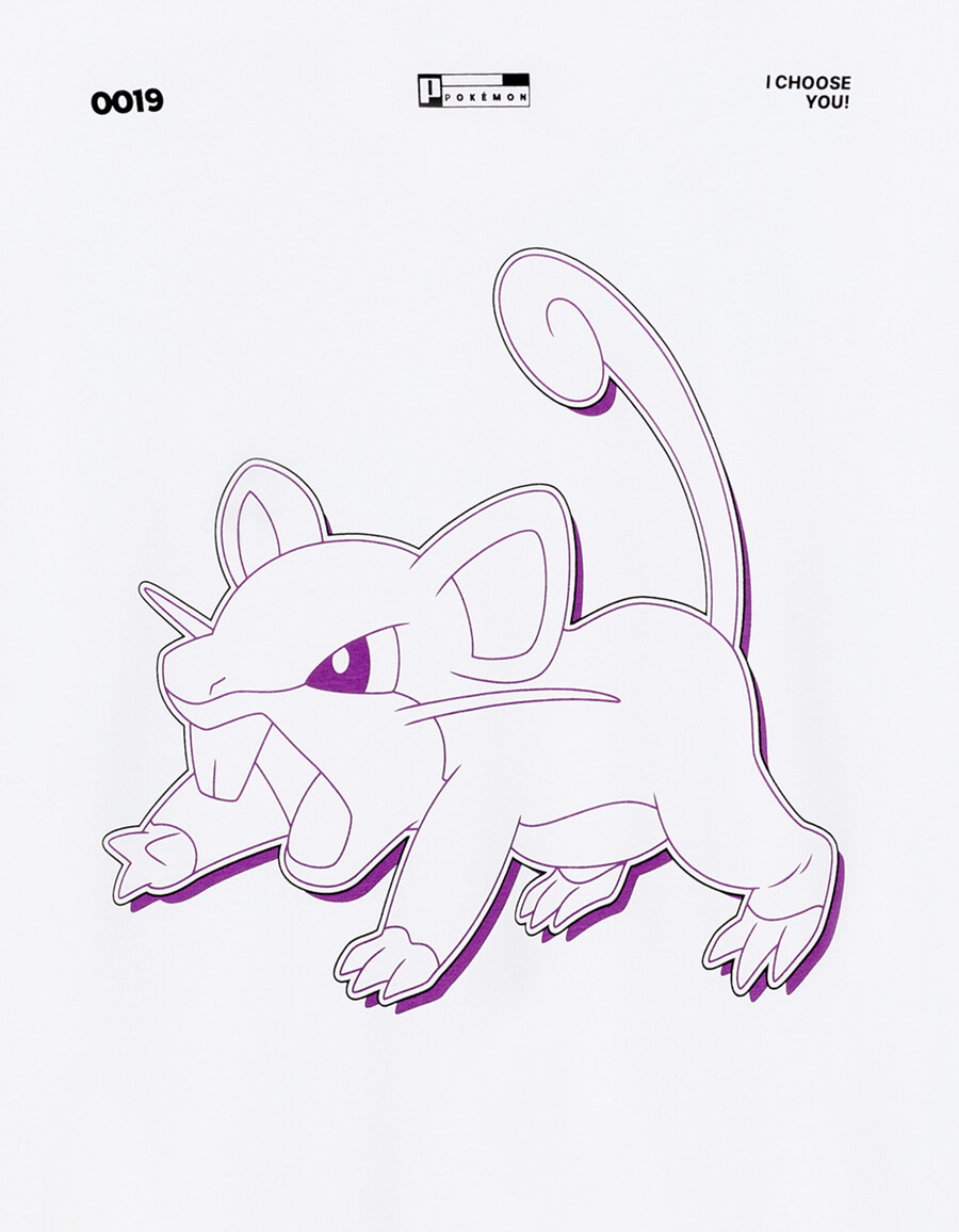 pokémonmon