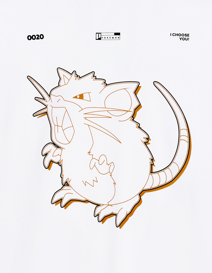 pokémonmon