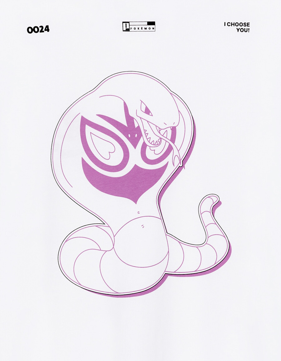 pokémonmon