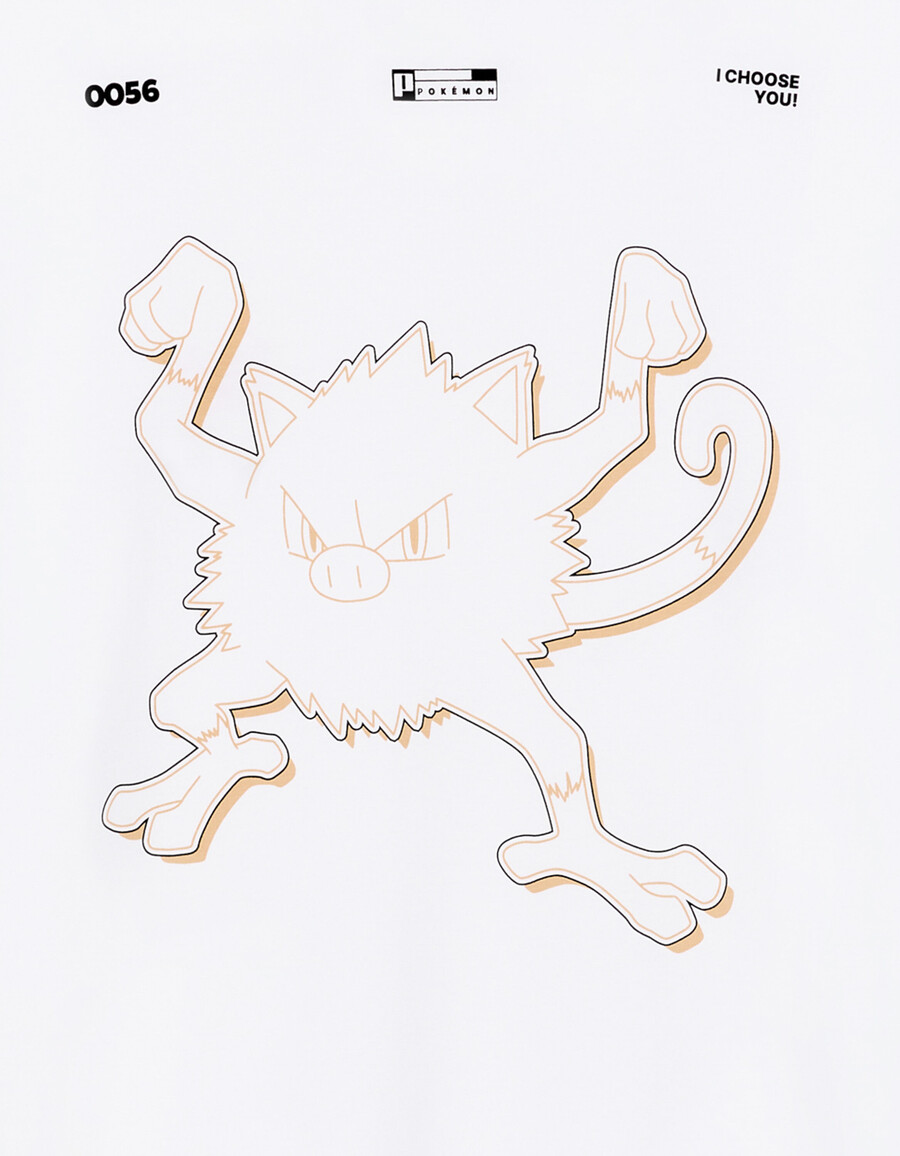 pokémonmon