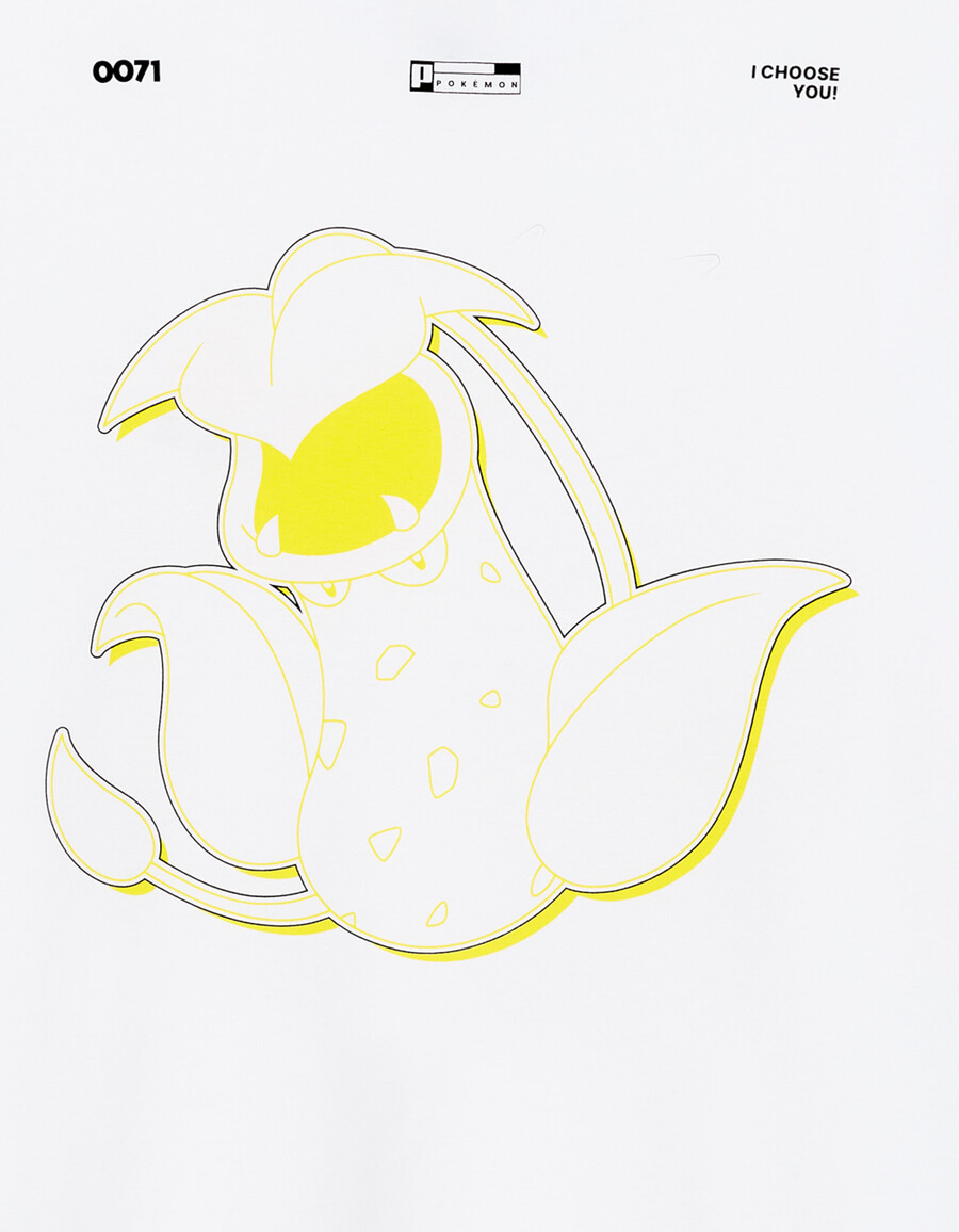 pokémonmon