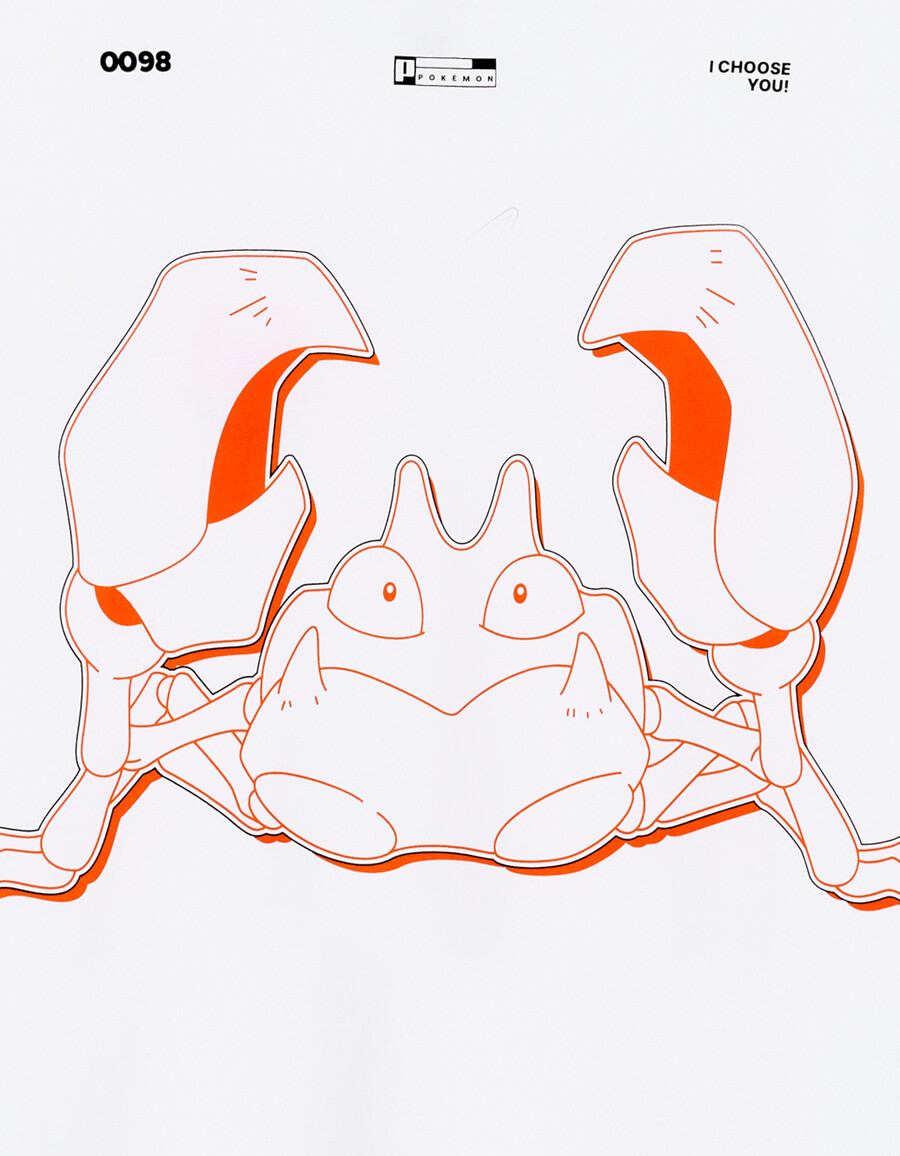 pokémonmon