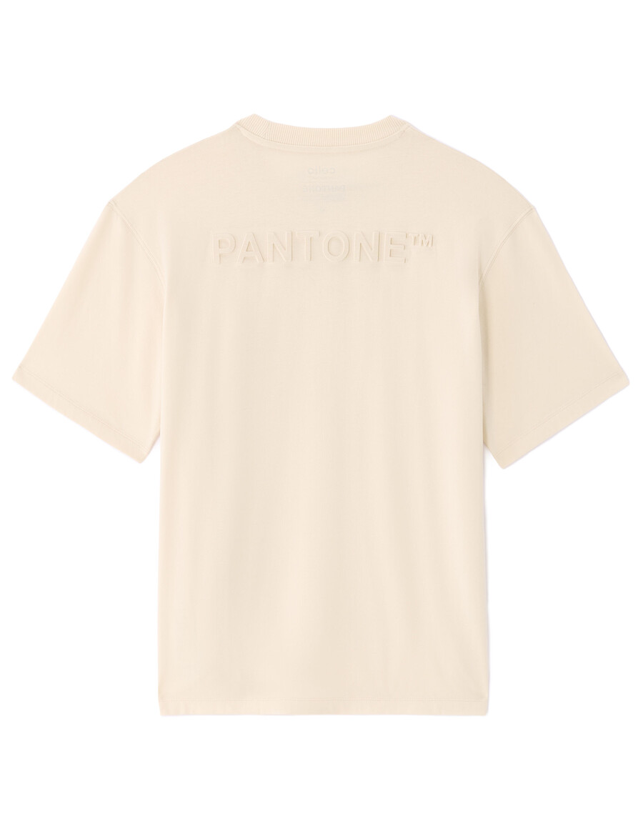 pantone